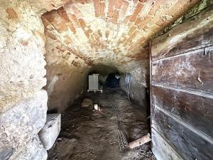 Prodej chalupy, Budíkov, 47 m2