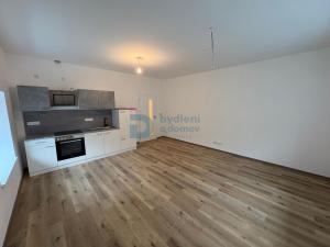 Pronájem bytu 1+kk, Doloplazy, 45 m2