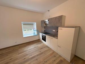 Pronájem bytu 1+kk, Doloplazy, 45 m2