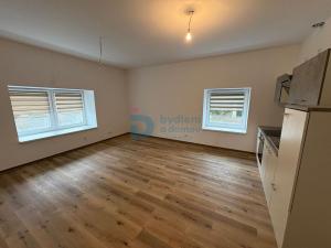 Pronájem bytu 1+kk, Doloplazy, 45 m2