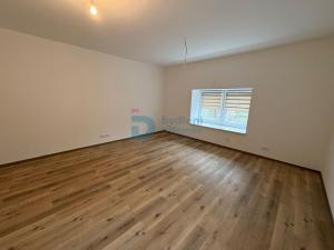 Pronájem bytu 1+kk, Doloplazy, 45 m2