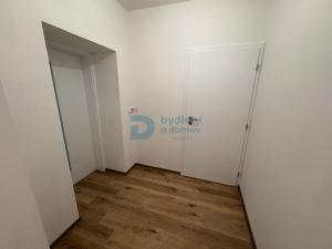 Pronájem bytu 1+kk, Doloplazy, 45 m2