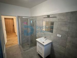 Pronájem bytu 1+kk, Doloplazy, 45 m2