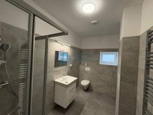 Pronájem bytu 1+kk, Doloplazy, 45 m2