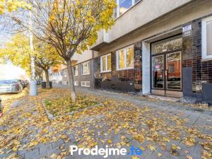 Prodej bytu 1+1, Brno - Ponava, Staňkova, 34 m2