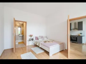 Pronájem bytu 2+kk, Praha - Žižkov, Husinecká, 48 m2