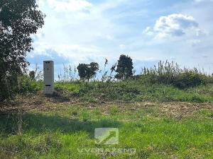 Prodej zahrady, Černíkovice, 2281 m2