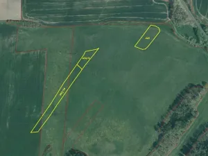 Dražba louky, Srby, 19946 m2