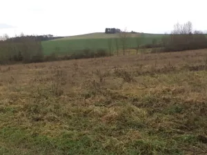 Dražba louky, Srby, 19946 m2