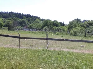 Dražba louky, Přeštěnice, 2817 m2