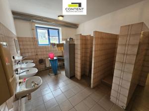 Pronájem výrobních prostor, Dolní Kalná, 1500 m2