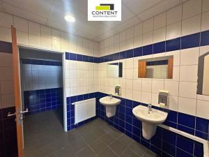 Pronájem výrobních prostor, Chrášťany, Za Tratí, 265 m2