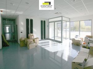 Pronájem výrobních prostor, Myslinka, 5233 m2