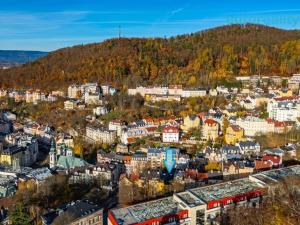 Pronájem bytu 2+1, Karlovy Vary, Libušina, 65 m2