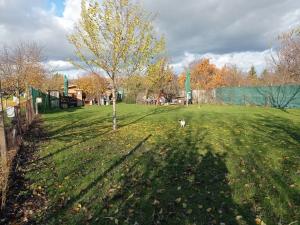 Prodej pozemku pro bydlení, Dolní Dunajovice, 1285 m2