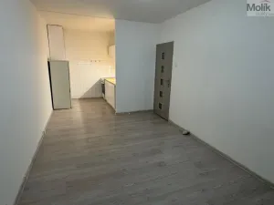 Pronájem bytu 2+kk, Most, Albrechtická, 40 m2
