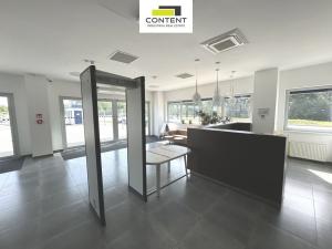 Pronájem skladu, Most - Čepirohy, U Lesíka, 9330 m2