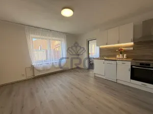 Pronájem rodinného domu, Čebín, 201 m2