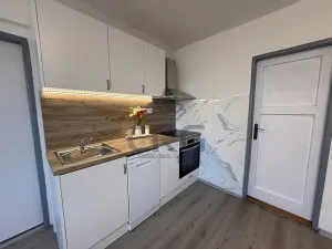 Pronájem rodinného domu, Čebín, 201 m2