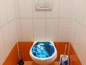 Prodej bytu 2+kk, Vítkov, Budišovská, 50 m2