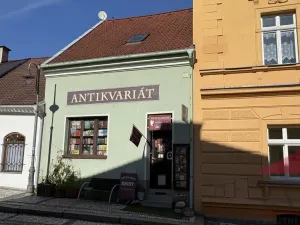 Prodej obchodního prostoru, Sušice - Sušice II, Příkopy, 135 m2