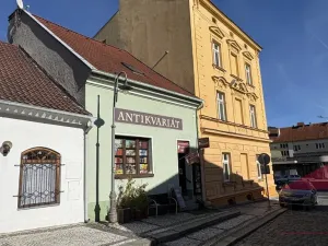 Prodej obchodního prostoru, Sušice - Sušice II, Příkopy, 135 m2