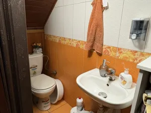 Prodej obchodního prostoru, Sušice - Sušice II, Příkopy, 135 m2