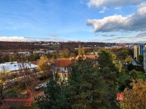 Pronájem bytu 1+kk, Praha - Libeň, Matějkova, 49 m2