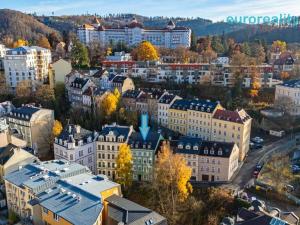 Pronájem apartmánu, Karlovy Vary, Libušina, 325 m2