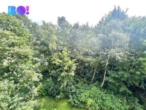 Prodej bytu 1+kk, Ostrava, Bohumínská, 25 m2