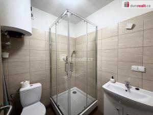 Pronájem bytu 2+kk, Mlékojedy, 55 m2