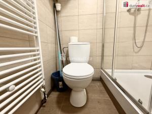 Pronájem bytu 2+kk, Mlékojedy, 55 m2