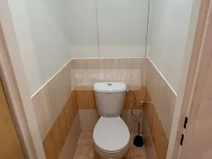 Pronájem bytu 1+1, Chomutov, Holešická, 42 m2