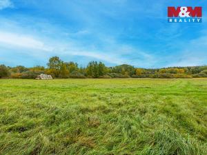 Prodej louky, Jestřebí, 14822 m2