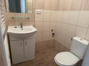 Pronájem bytu 2+kk, Plzeň - Jižní Předměstí, V Šipce, 45 m2