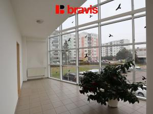 Pronájem bytu 1+kk, Brno - Líšeň, Jírova, 40 m2