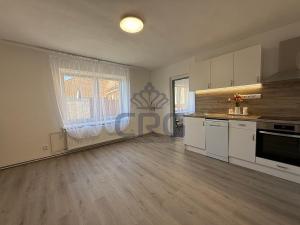 Pronájem rodinného domu, Čebín, 201 m2