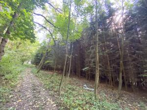 Prodej lesa, Lánov - Horní Lánov, 11269 m2