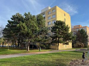 Prodej bytu 3+1, Praha - Čakovice, Ke stadionu, 78 m2