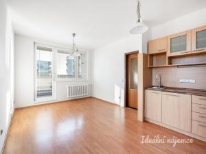Pronájem bytu 2+kk, Praha - Podolí, Hudečkova, 49 m2