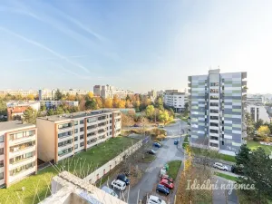 Pronájem bytu 2+kk, Praha - Podolí, Hudečkova, 49 m2