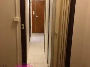 Prodej bytu 2+1, Olomouc, Rožňavská, 43 m2