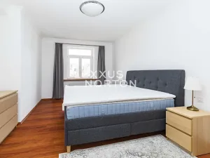 Pronájem atypického bytu, Praha - Nové Město, Dřevná, 250 m2