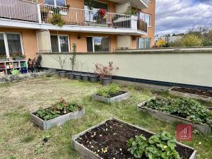 Pronájem bytu 1+1, Brno, Majdalenky, 137 m2