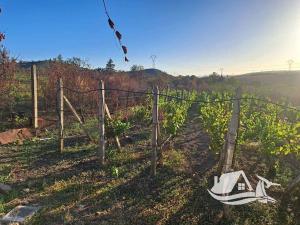 Prodej rodinného domu, Burgas, Bulharsko, 36 m2