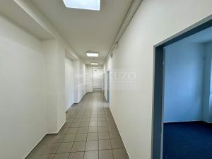 Pronájem obchodního prostoru, Mladá Boleslav - Mladá Boleslav II, Máchova, 291 m2