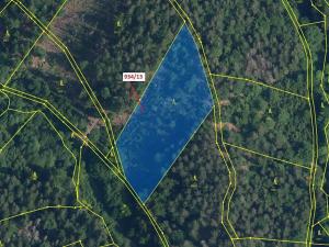 Dražba lesa, Jílové u Držkova, 6213 m2