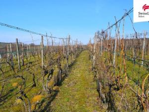 Prodej komerčního pozemku, Bzenec, 1748 m2