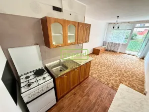 Pronájem bytu 2+kk, Most, K. J. Erbena, 52 m2