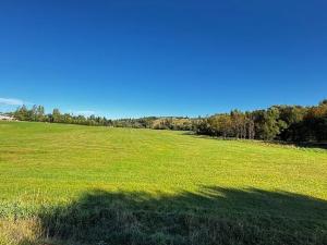 Prodej rodinného domu, Orlické Záhoří, 110 m2